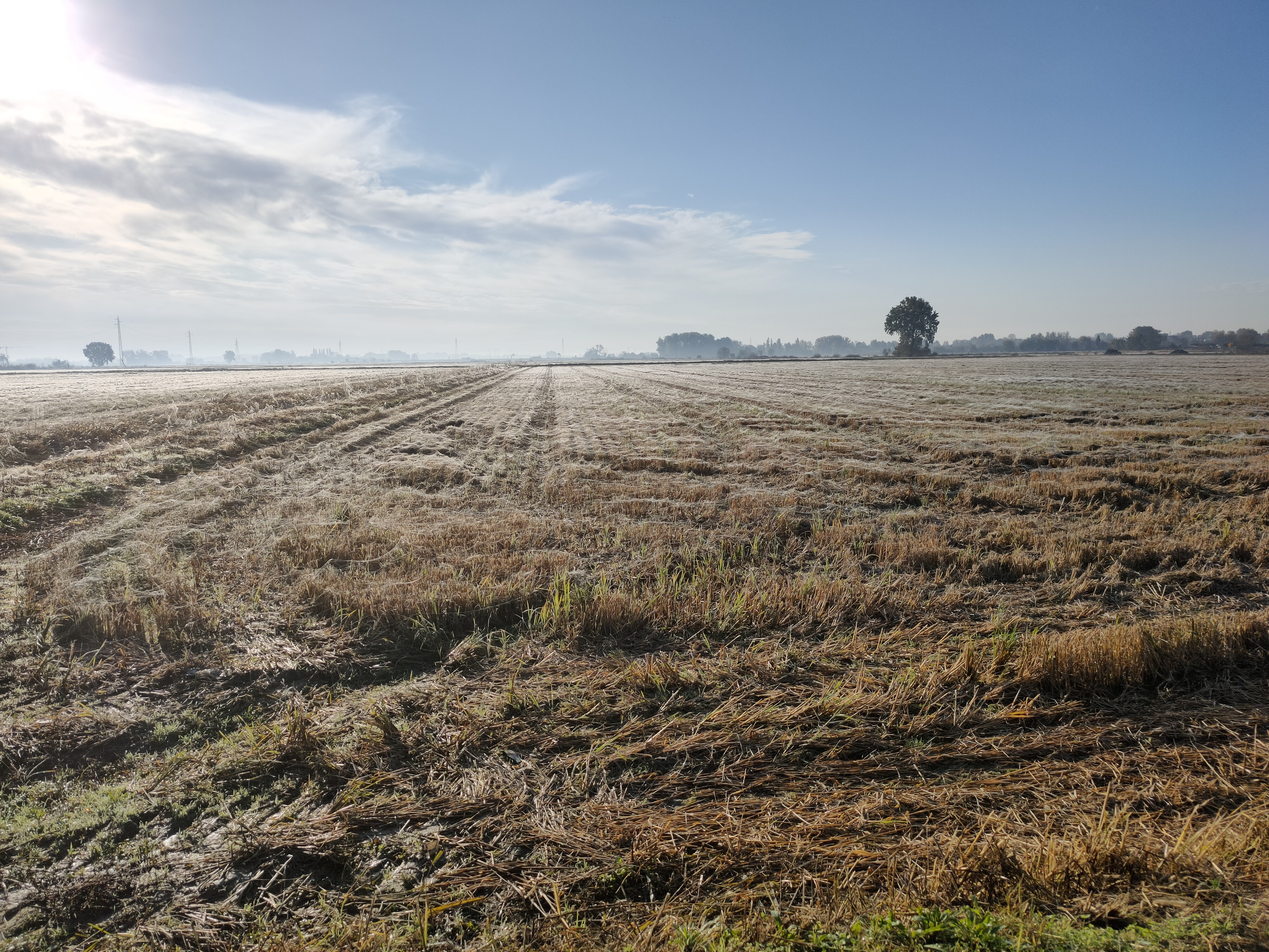 NOTIZIE DAL PODERE